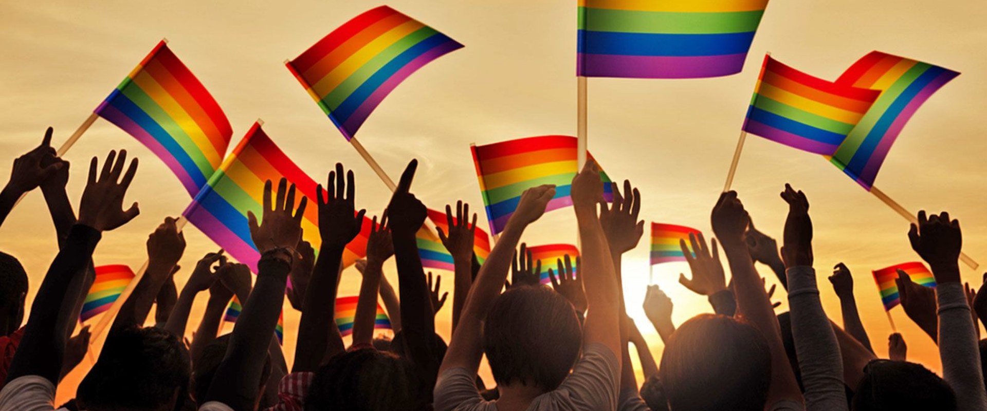 Understanding the LGBTQ Community: An Expert's Perspective