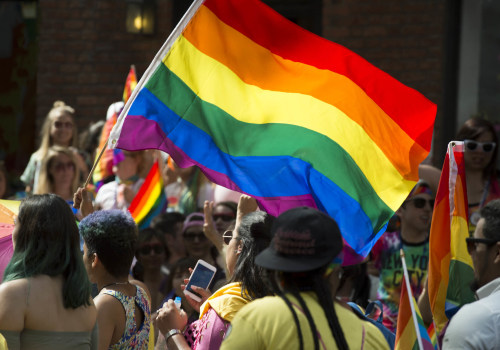 The Impact of Sexuality Discrimination: An Expert's Perspective